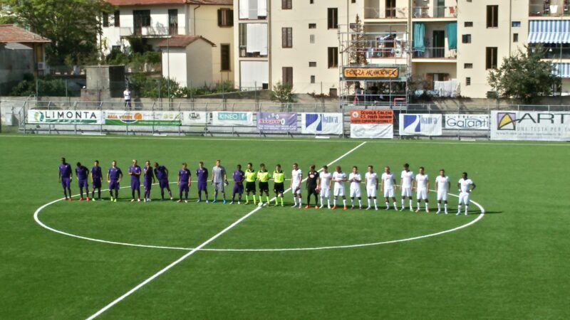 Primavera Fiorentina Torino