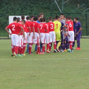 AllLp Perugia Fiorentina