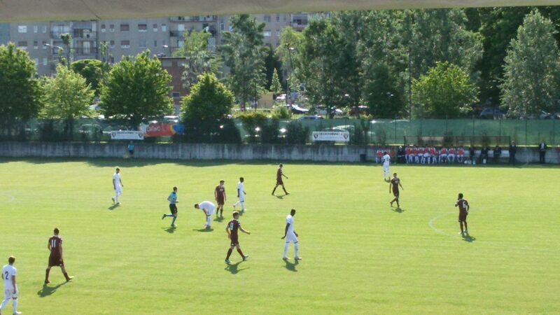 fiorentina torino primavera allodi-goggioli giudice sportivo