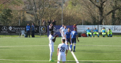 fiorentina cai viareggio cup primavera