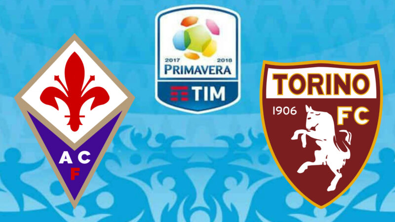 fiorentina torino primavera