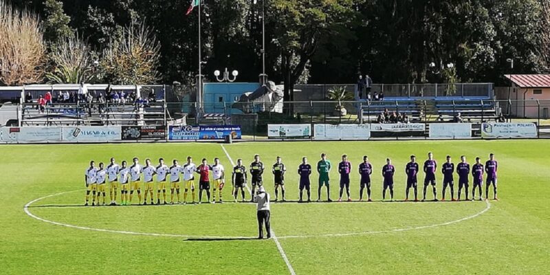 fiorentina westchester viareggio